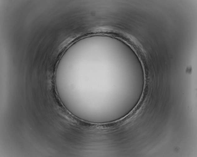 X0000091511217200708170943