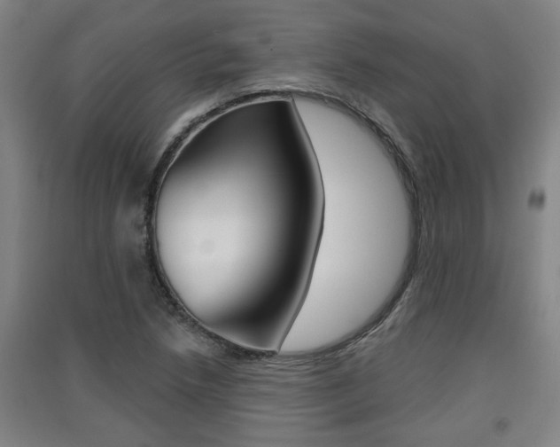 X0000091511218200708170943