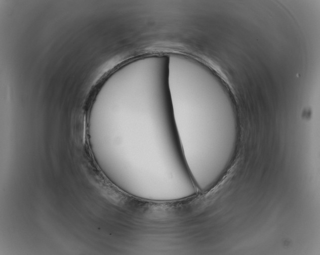 X0000091511219200708170943