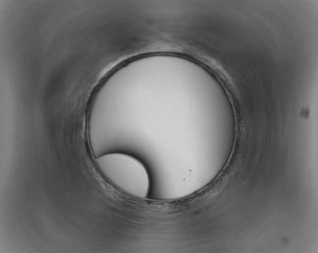 X0000091511220200708170943