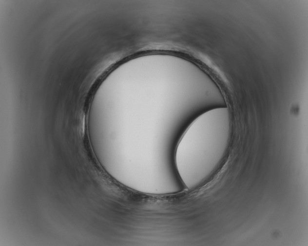 X0000091511221200708170943