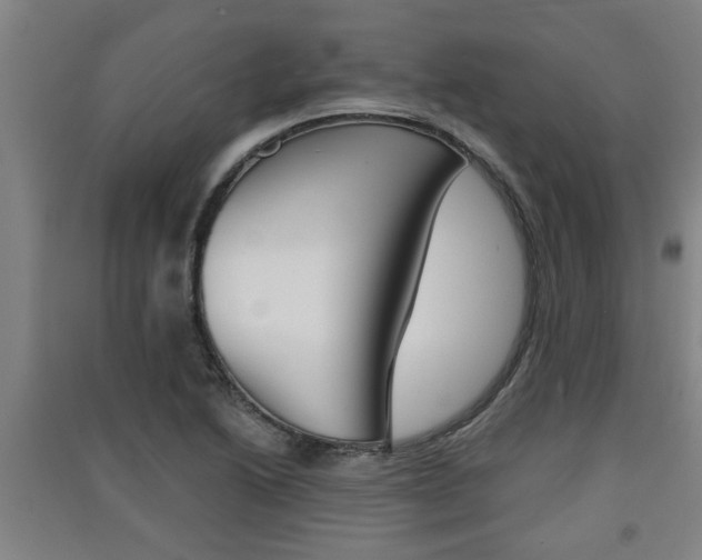 X0000091511222200708170943
