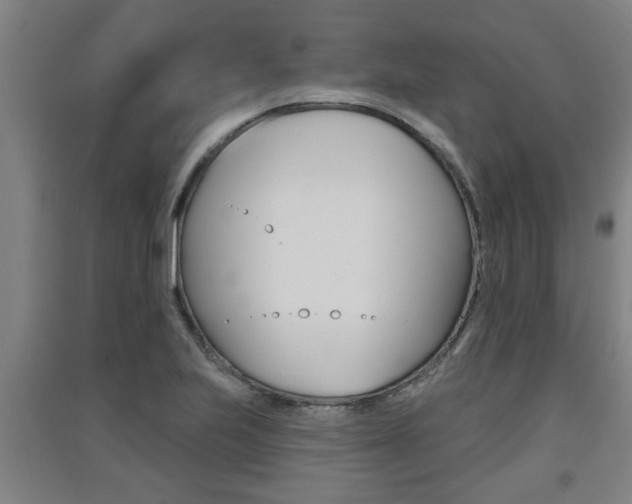 X0000091511223200708170943