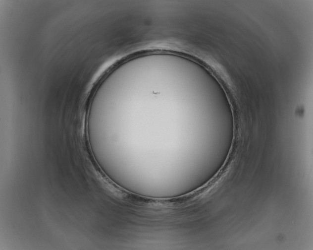X0000091511224200708170943