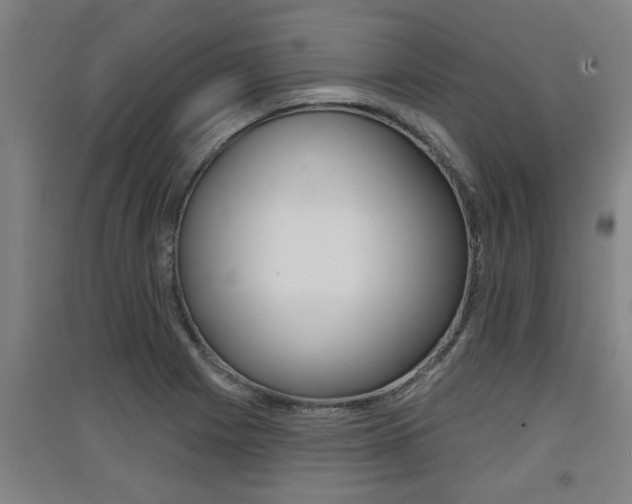 X0000091511225200708170943
