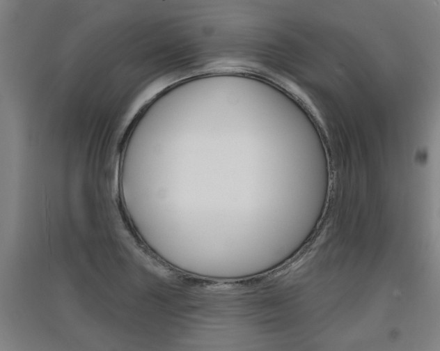 X0000091511227200708170943