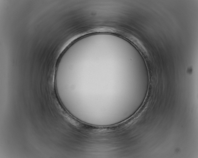 X0000091511228200708170943