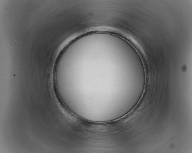 X0000091511229200708170943