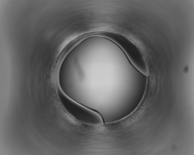 X0000091511230200708170943