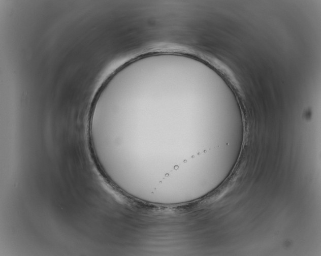 X0000091511231200708170943