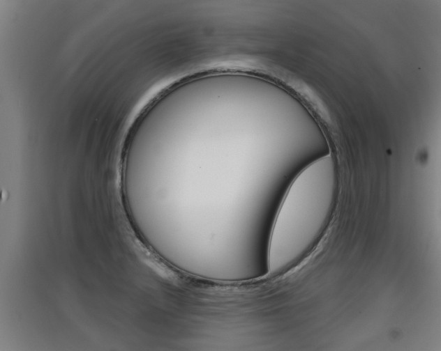 X0000091511232200708170943