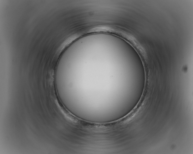 X0000091511233200708170943