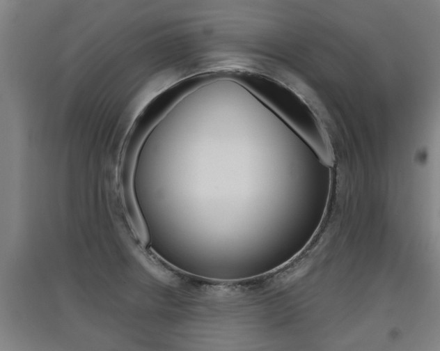 X0000091511234200708170943