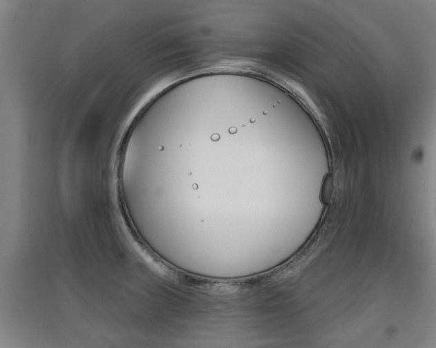 X0000091511235200708170943
