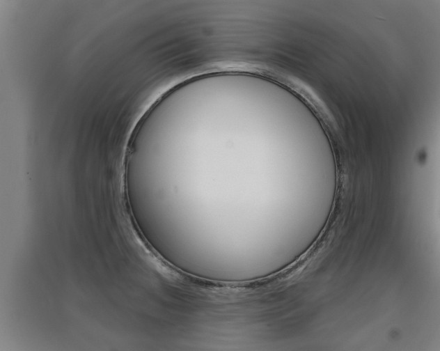 X0000091511236200708170943