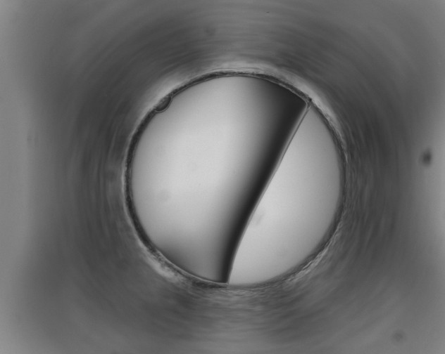 X0000091511237200708170943