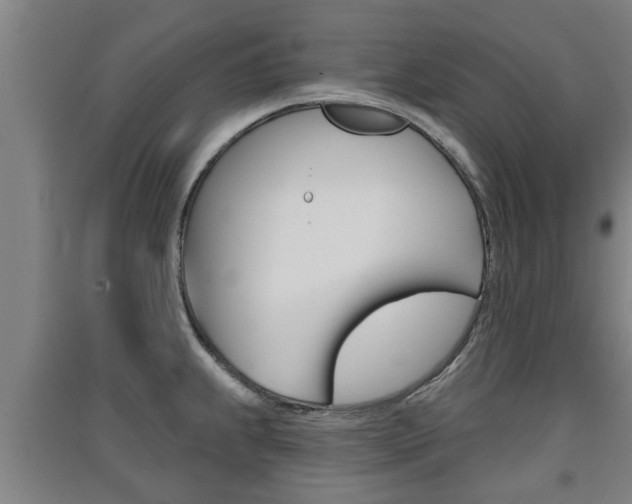 X0000091511239200708170943