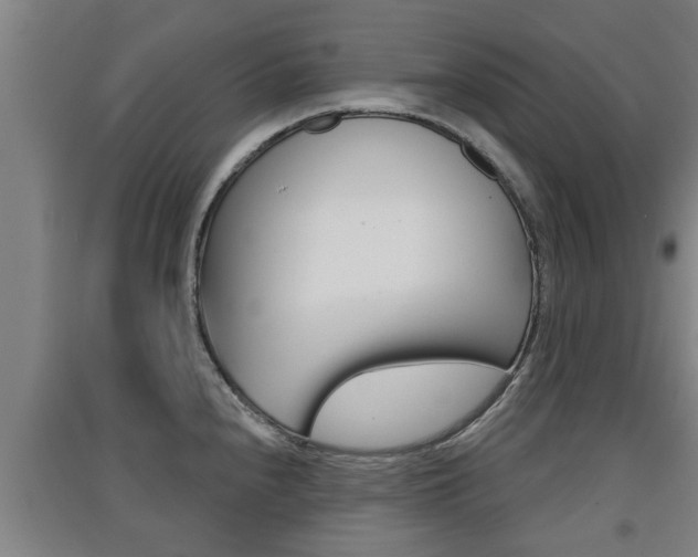 X0000091511240200708170943