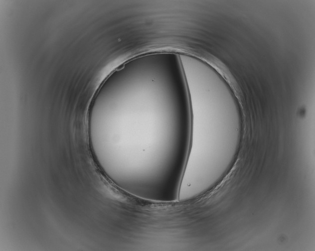 X0000091511242200708170943
