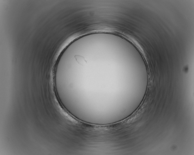 X0000091511243200708170943