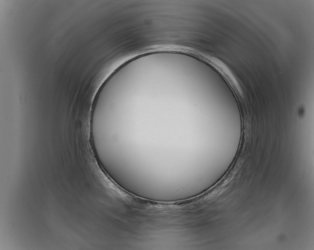 X0000091511244200708170943