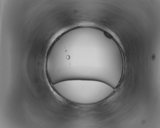 X0000091511245200708170943