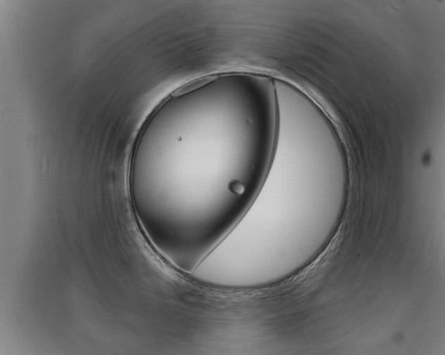 X0000091511246200708170943