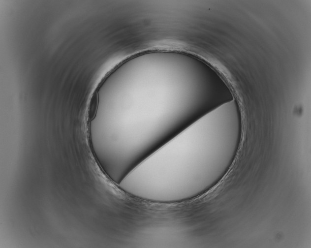X0000091511248200708170943