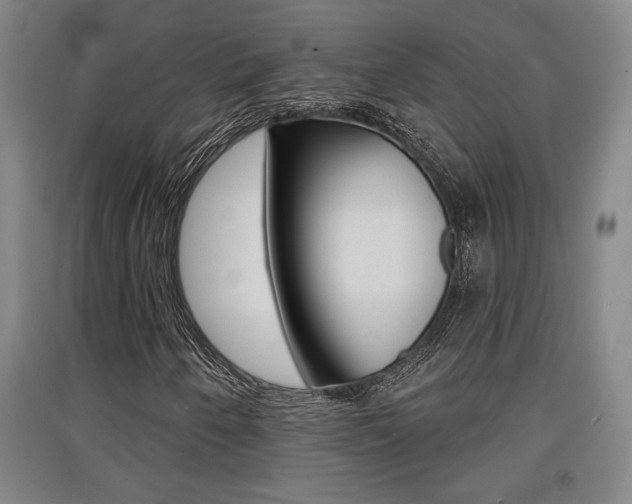 X0000091511250200708170942
