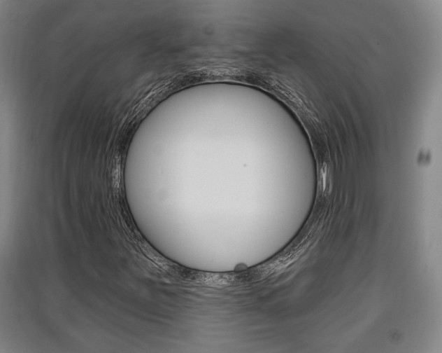 X0000091511251200708170942