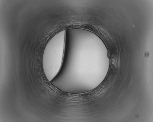 X0000091511252200708170942