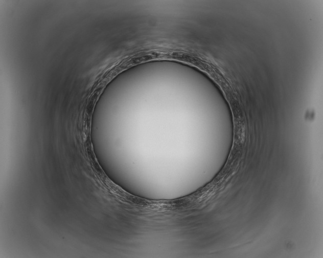X0000091511253200708170942