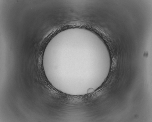 X0000091511254200708170942