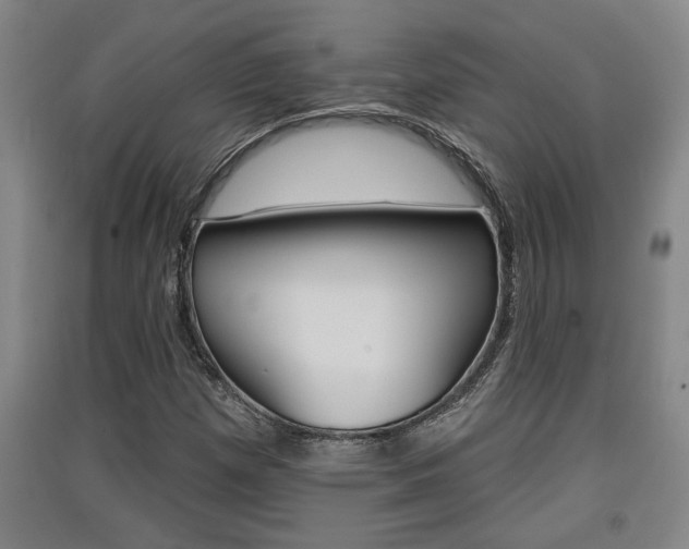 X0000091511257200708170942
