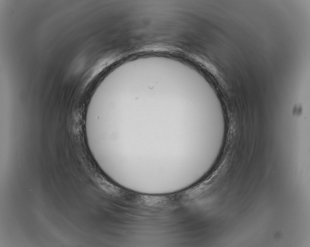X0000091511258200708170942