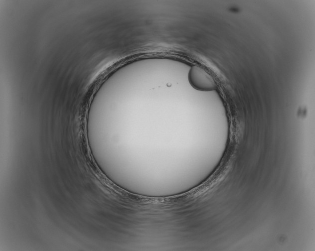 X0000091511259200708170942