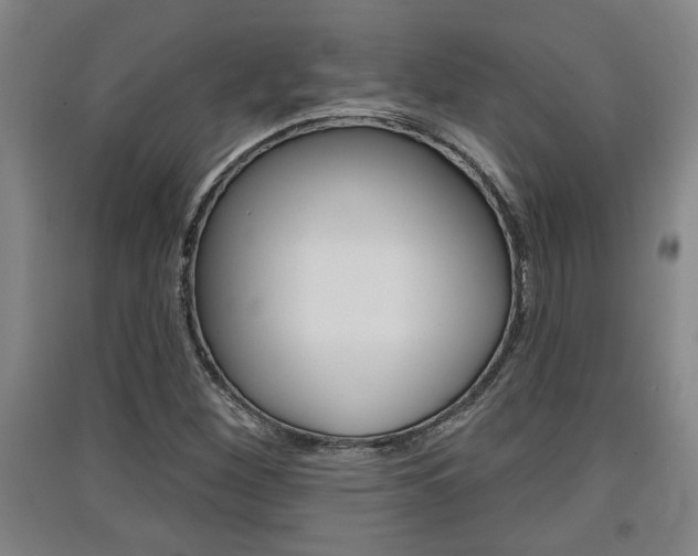 X0000091511260200708170942