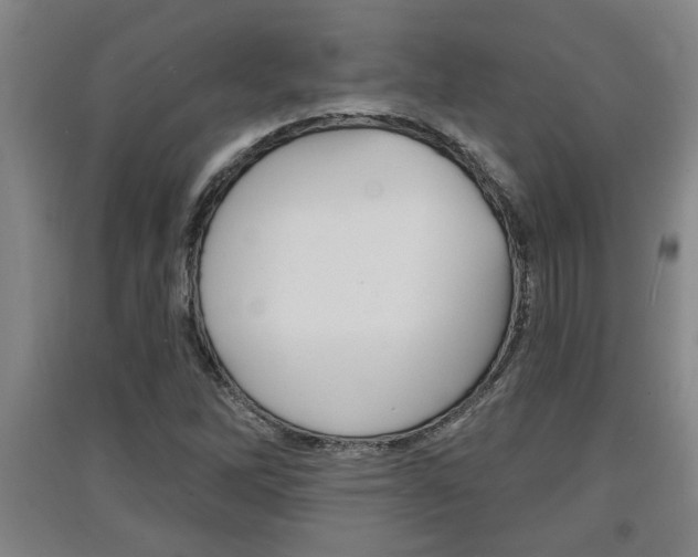 X0000091511262200708170942