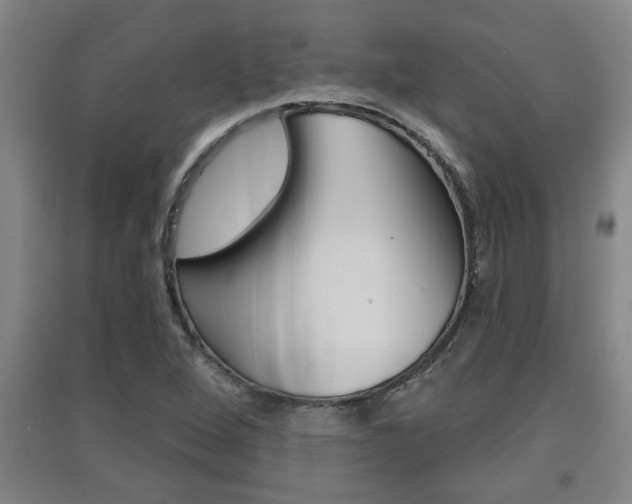 X0000091511264200708170942