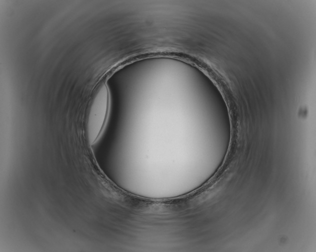X0000091511265200708170942