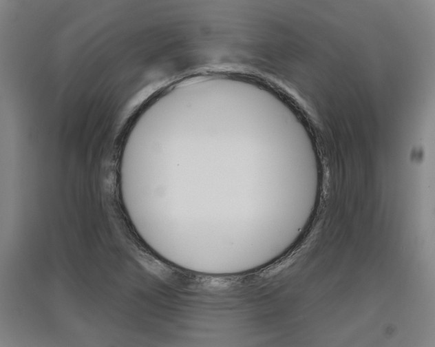X0000091511266200708170942