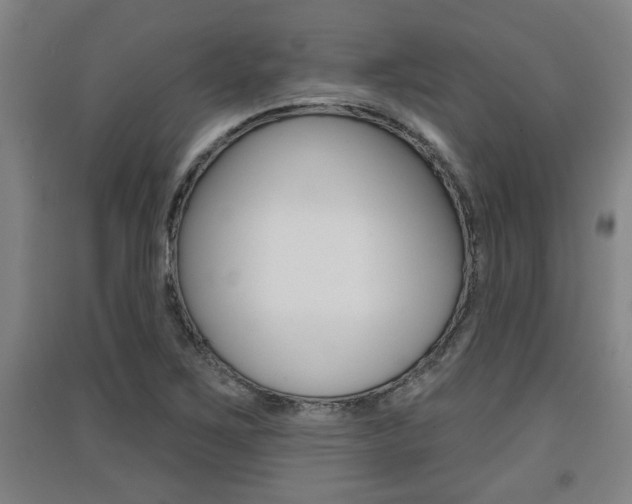 X0000091511267200708170942