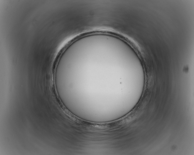 X0000091511271200708170942