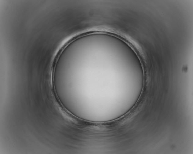 X0000091511272200708170942