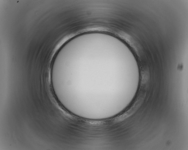X0000091511274200708170942
