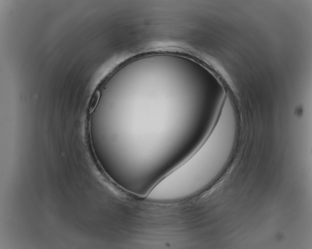X0000091511277200708170942