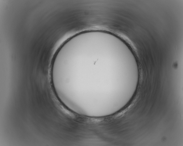 X0000091511278200708170942