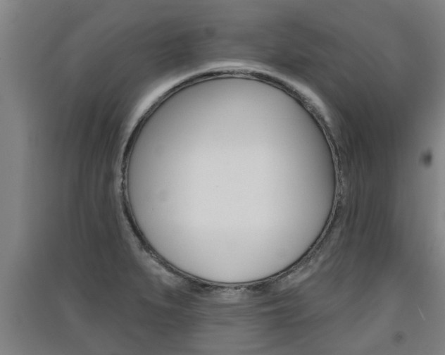 X0000091511279200708170942