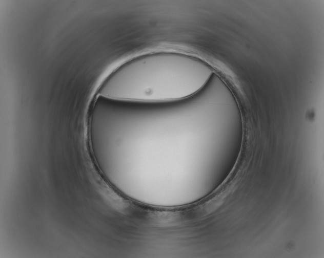 X0000091511280200708170942