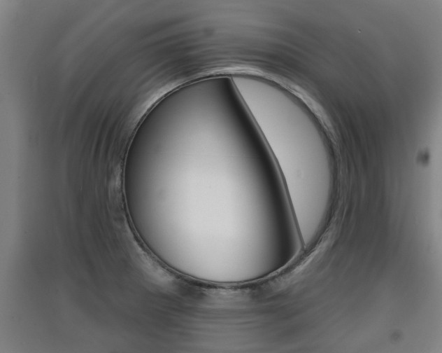 X0000091511281200708170942